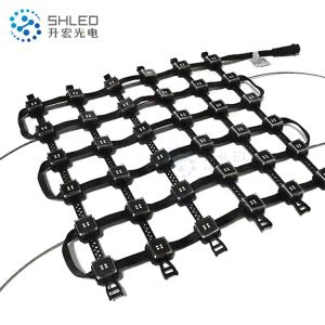 Vaatamisväärsuste lift läbipaistev LED-ekraan